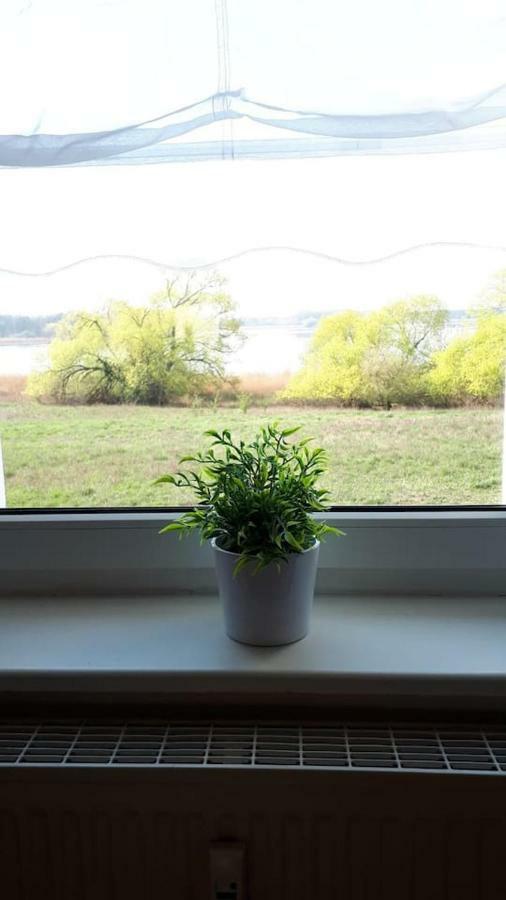 Ferienwohnung Mit Seeblick 브란덴부르크 외부 사진